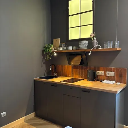 דירה Loft Center Lok 1
